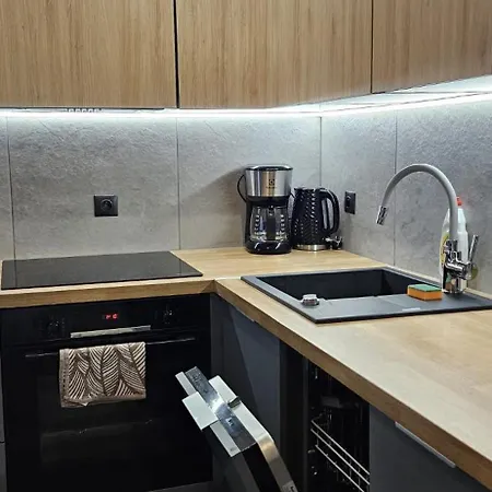 Mieszkanie W Nowoczesnym Halo W Centrum