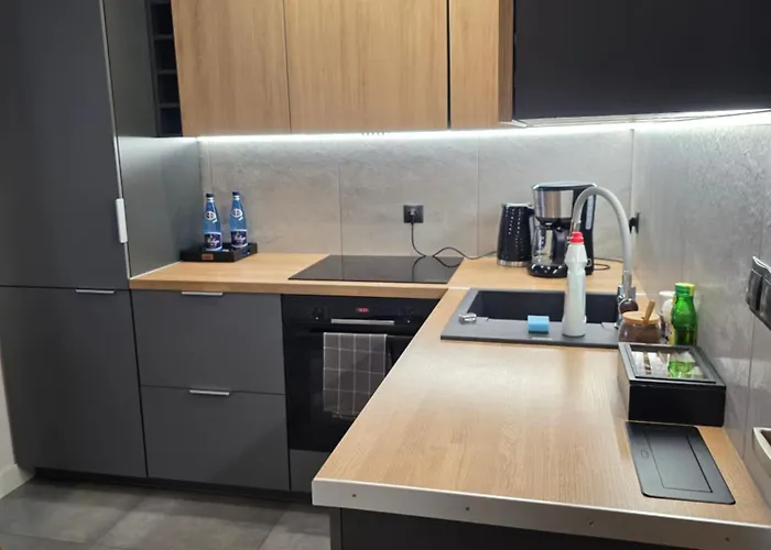 Mieszkanie W Nowoczesnym Halo W Centrum *