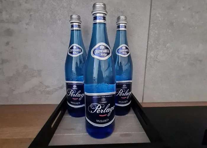 Mieszkanie W Nowoczesnym Halo W Centrum 아파트 *