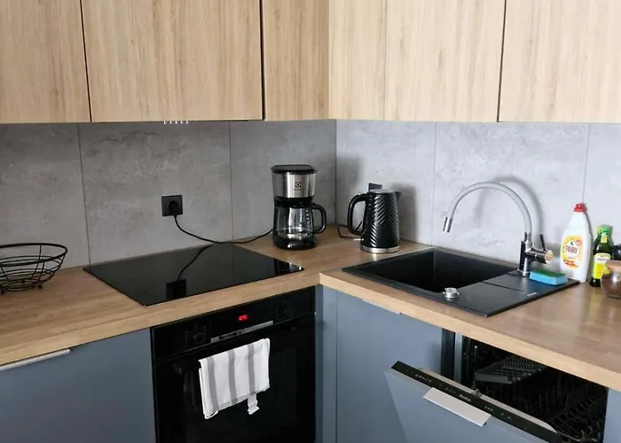 Mieszkanie W Nowoczesnym Halo W Centrum *