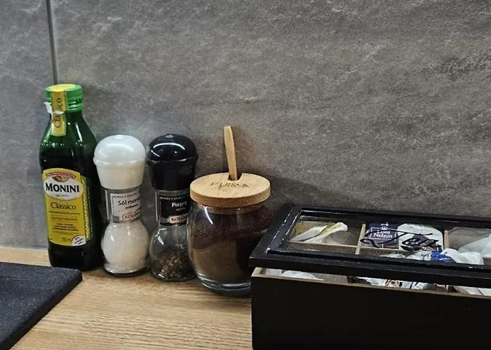 Appartement Mieszkanie W Nowoczesnym Halo W Centrum *